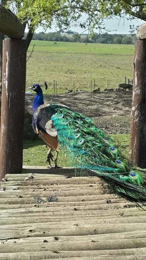 Estancia Turistica Finca Piedra Mal Abrigo 外观 照片